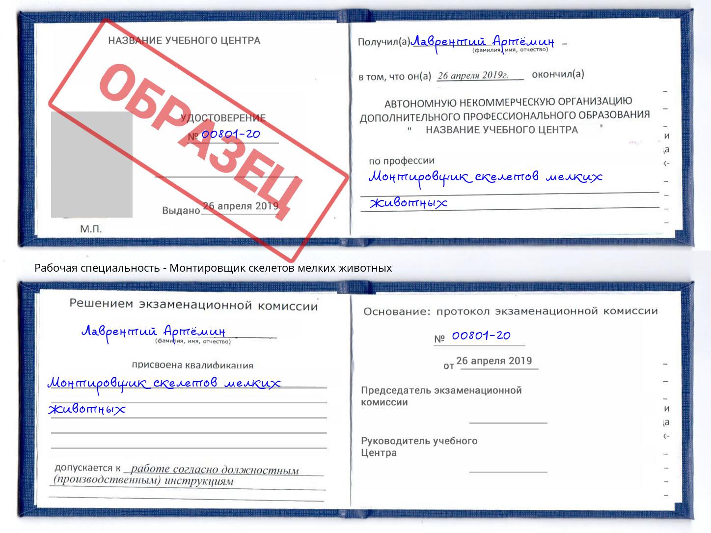 Монтировщик скелетов мелких животных Еманжелинск